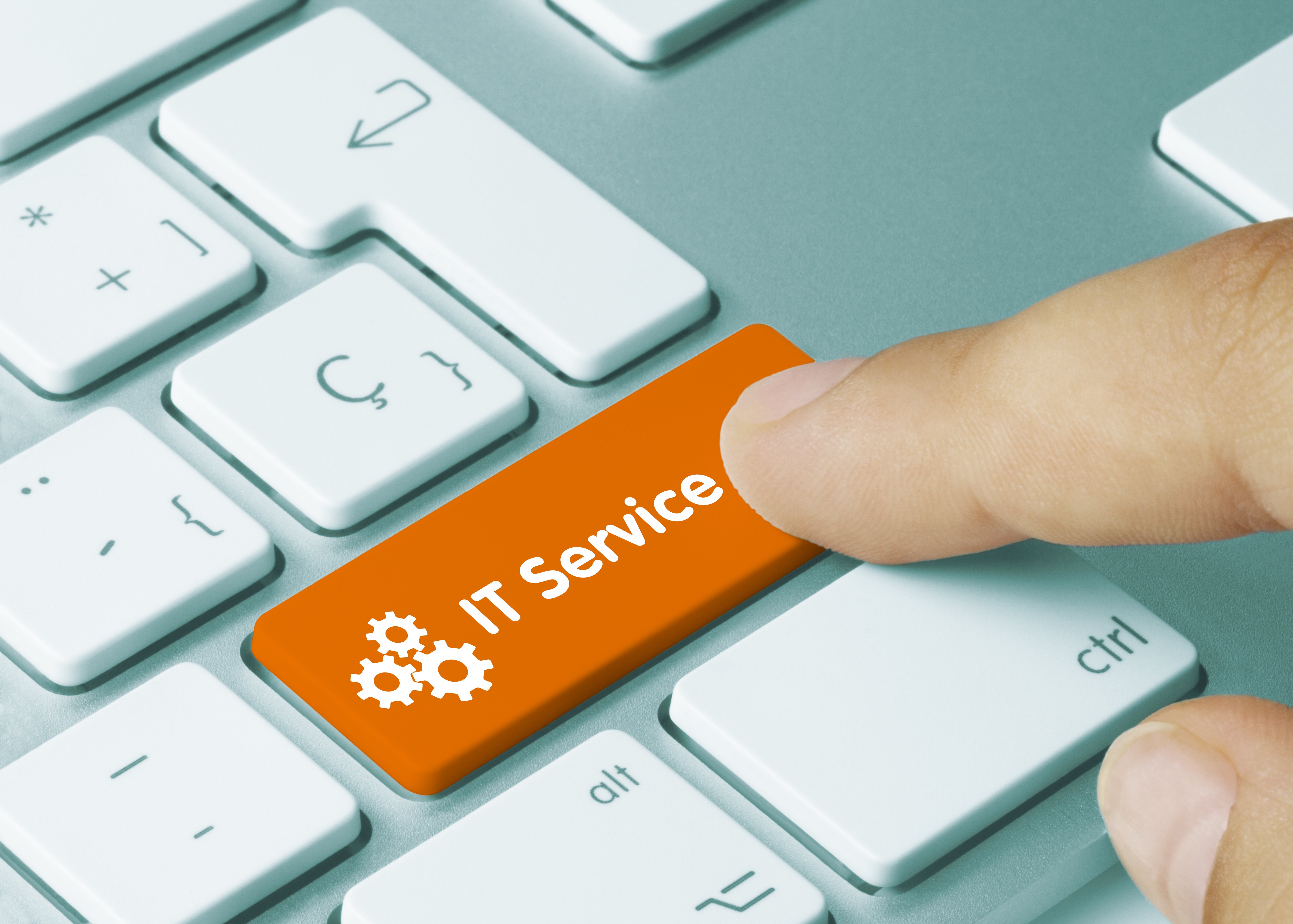 Service